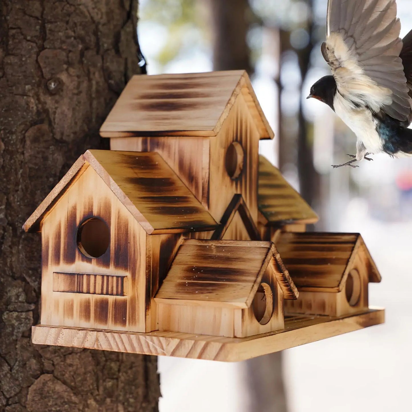 Bird d'oiseau en bois cage d'oiseau alimentant le nidi