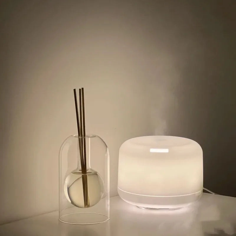 Home Fragrance Aroma Diffuser Bottle Simple Rituals Room Fragrance Indoor Perfumes Reed Diffuser Essential Oil Diffuser Bottle