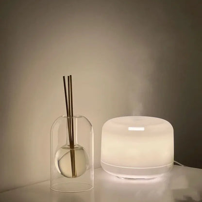 Home Fragrance Aroma Diffuser Bottle Simple Rituals Room Fragrance Indoor Perfumes Reed Diffuser Essential Oil Diffuser Bottle