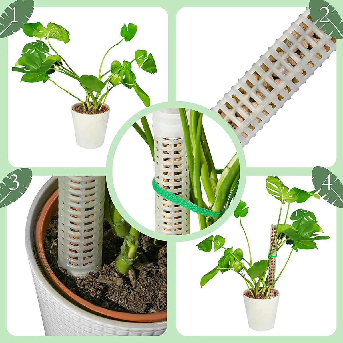 Plant Climbing Column Sphagnum Moss Pole Plants Growing Support Stand Water Revaining Gjødselrik planteforlengelse Polestpinne