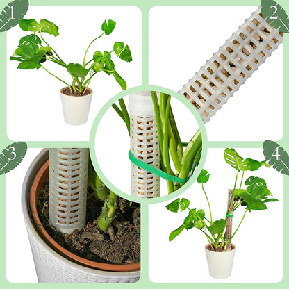 Plant Climbing Column Sphagnum Moss Pole Plants Growing Support Stand Water Revaining Gjødselrik planteforlengelse Polestpinne