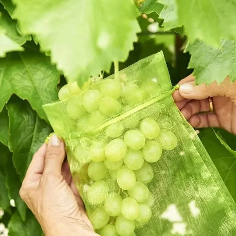 50PCS Pakiet Mouth Organza Gardstring Garden Ptak Proczuj Net Fruit Ochrony Bag Ochrony Torba Rosnące o owocach