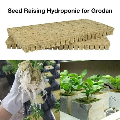 50pcs 25x25x25mm Stonewool Hydroponic Media Cubes Pflanzenwürfel Soilless Substrat ausgesät