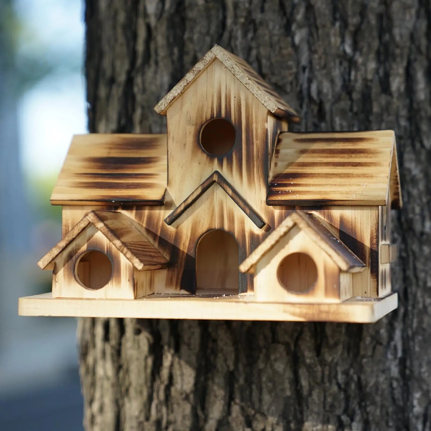 Bird d'oiseau en bois cage d'oiseau alimentant le nidi