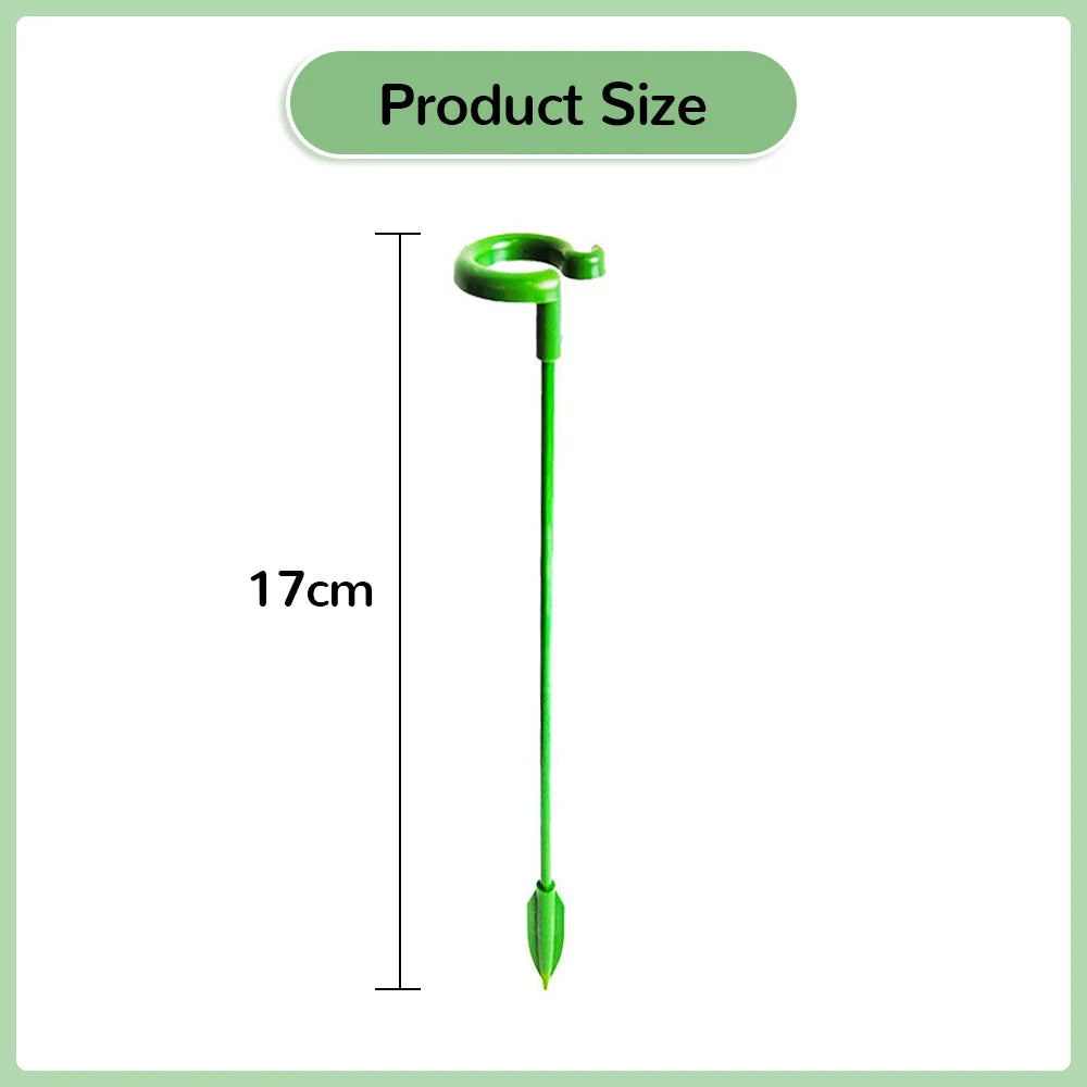 5/10/20 stk plöntur styður blóm stand fiðrildi Orchid Support Rod Climbing Plöntur Stick Protection Grænmeti birgðir