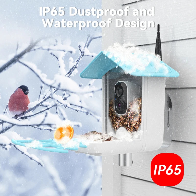 Smart Bird Eighder Camera 2.4G WiFi Wireless Outdoor HD 1080p con solare convocazione per ucciso