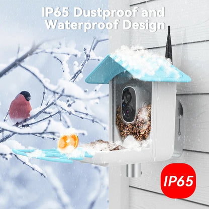 Smart Bird Eighder Camera 2.4G WiFi Wireless Outdoor HD 1080p con solare convocazione per ucciso
