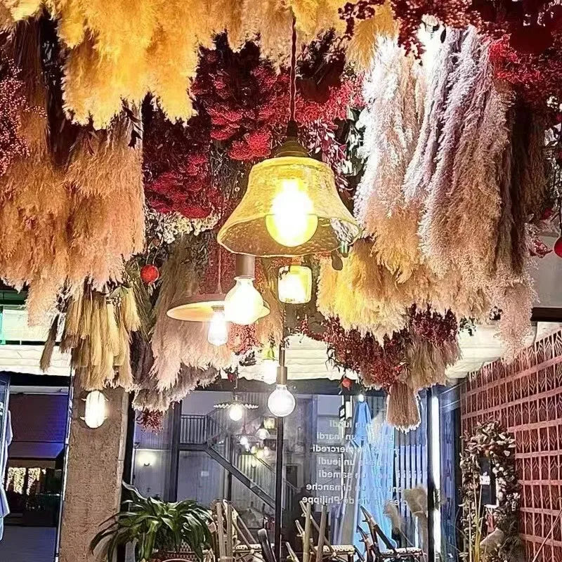 10 copë PAMPAS PAMPAS BAR DECORTION DECORIORE DECORIRE DREJTSIA E DREJTS