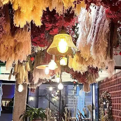 10 copë PAMPAS PAMPAS BAR DECORTION DECORIORE DECORIRE DREJTSIA E DREJTS