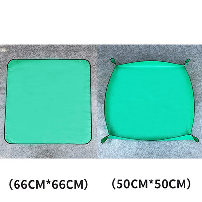 47698402640203