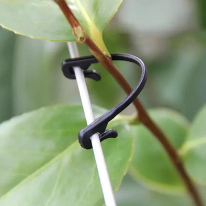 50pcs vinné upevňovací spony spony sponské spony pevné upevňovací nástroj Gronging Grafting Clip Clip Garden Rostlinová rostlina pevný háček držení háku
