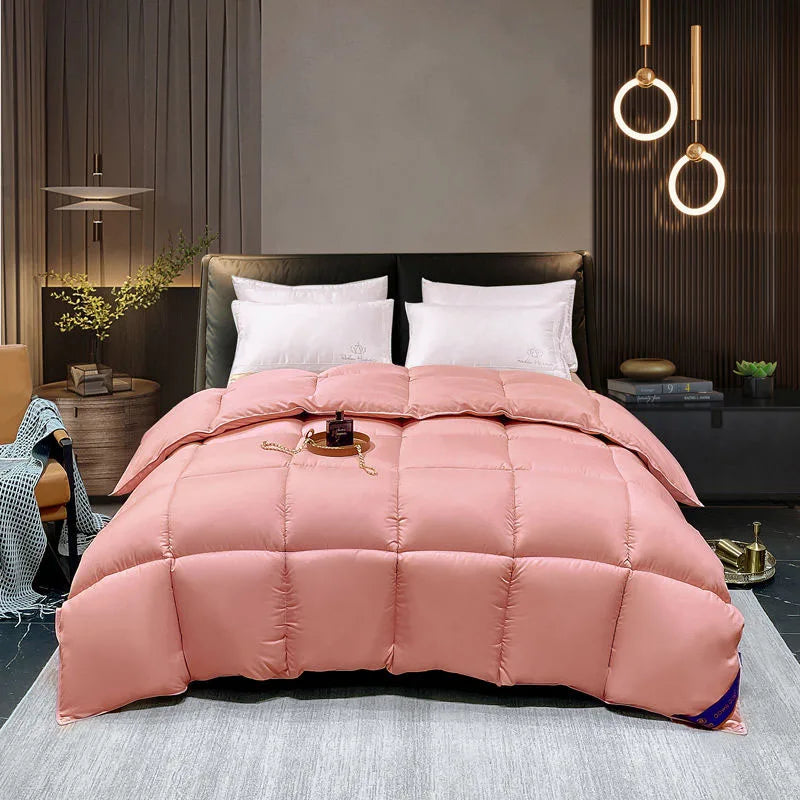95% białej gęsi Down Spring Spring Autumn Quilt Growid Winter Winter Quilt Single Podwójne łóżko uścisku klimatyzator