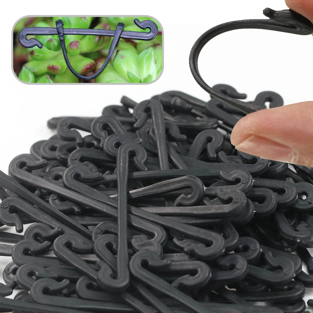 50pcs vinné upevňovací spony spony sponské spony pevné upevňovací nástroj Gronging Grafting Clip Clip Garden Rostlinová rostlina pevný háček držení háku