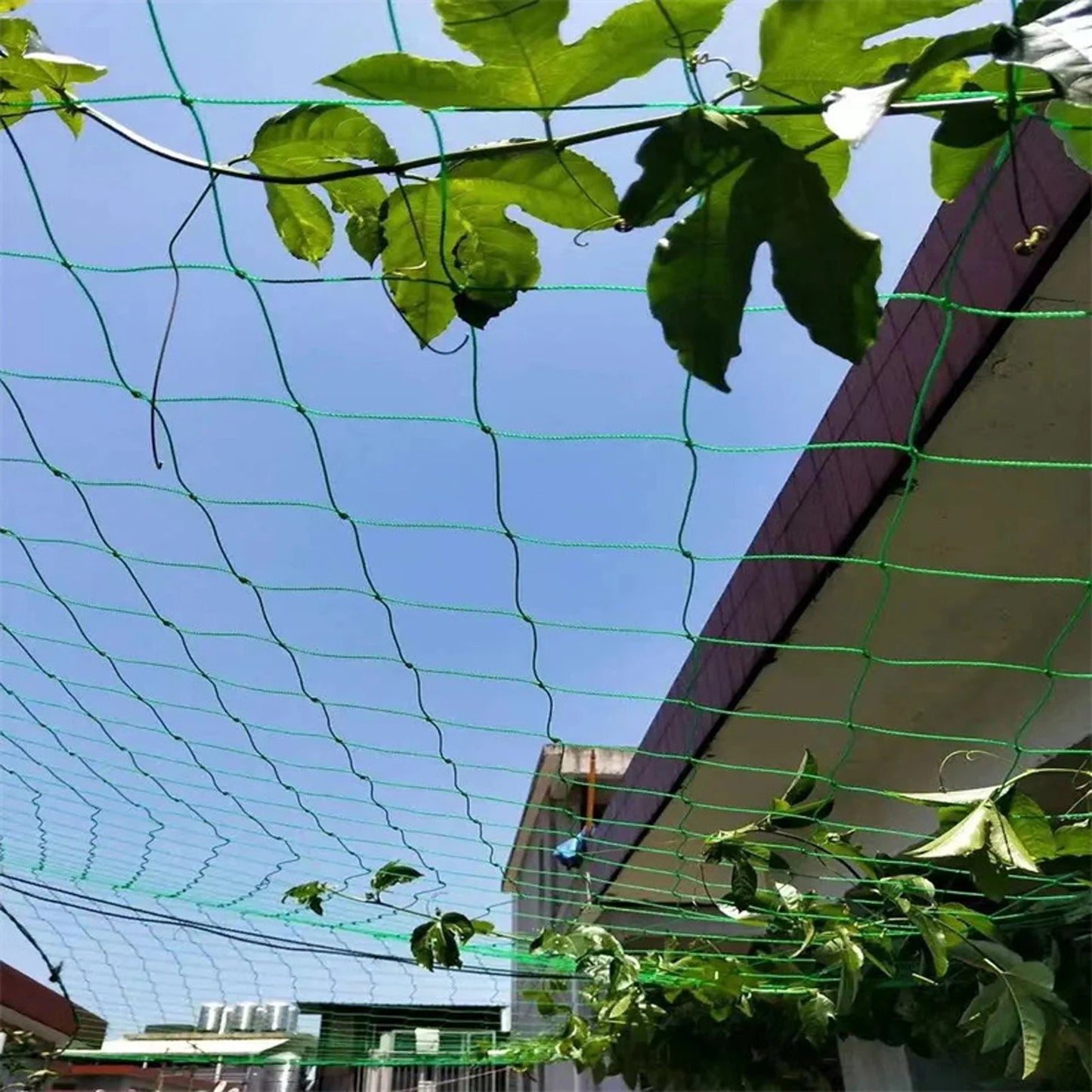 Garden Netting Plant Vine Growing Holder Robust Plant Trellis Support Holder agurk hængende melon klatring netto haveforsyninger