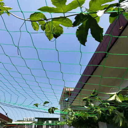 Garden Netting Plant Vine Growing Holder Robust Plant Trellis Support Holder agurk hængende melon klatring netto haveforsyninger