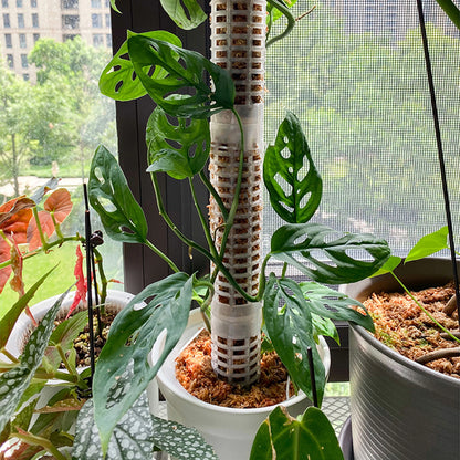 Plant Climbing Column Sphagnum Moss Pole Plants Growing Support Stand Water Revaining Gjødselrik planteforlengelse Polestpinne