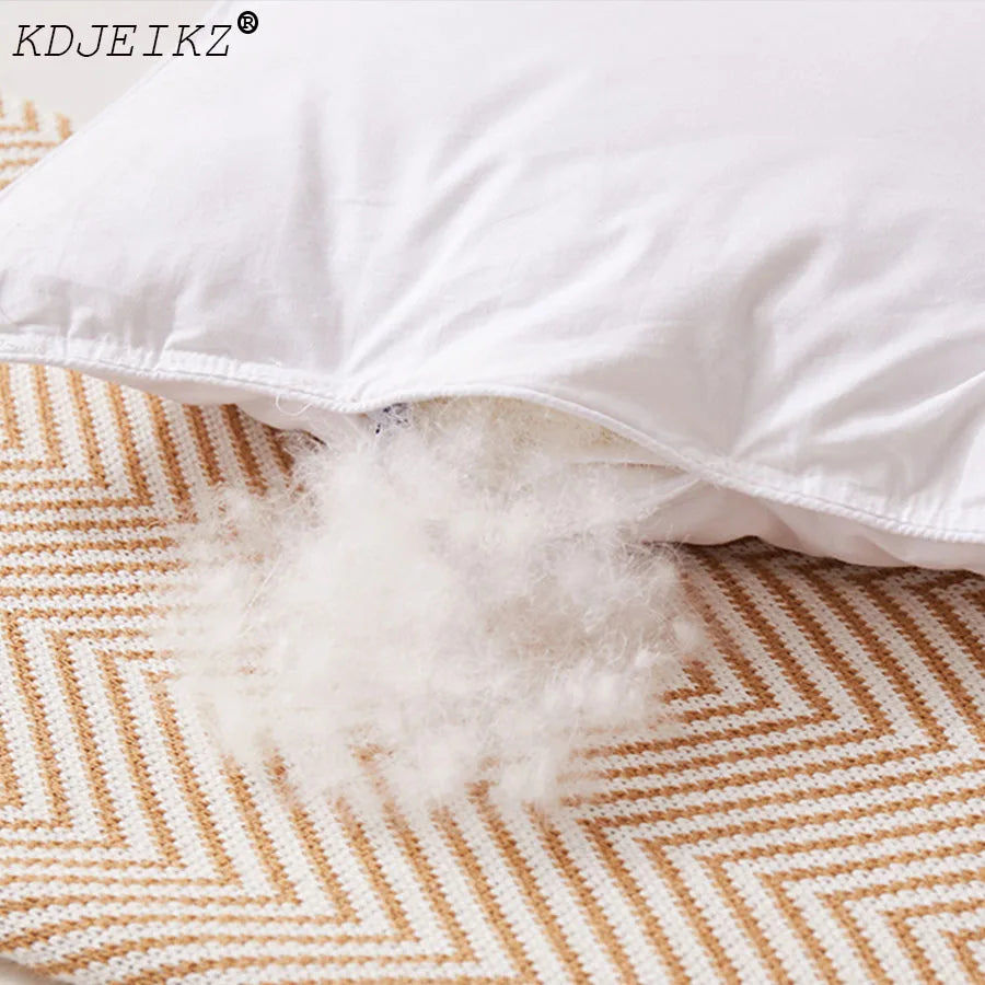 Kdjeikz Bread Goose Down Eddórico de lujo de lujo Soft Goose Down edredón edredón edredón edredón 、 Cuelas de otoño, 100% de algodón concha