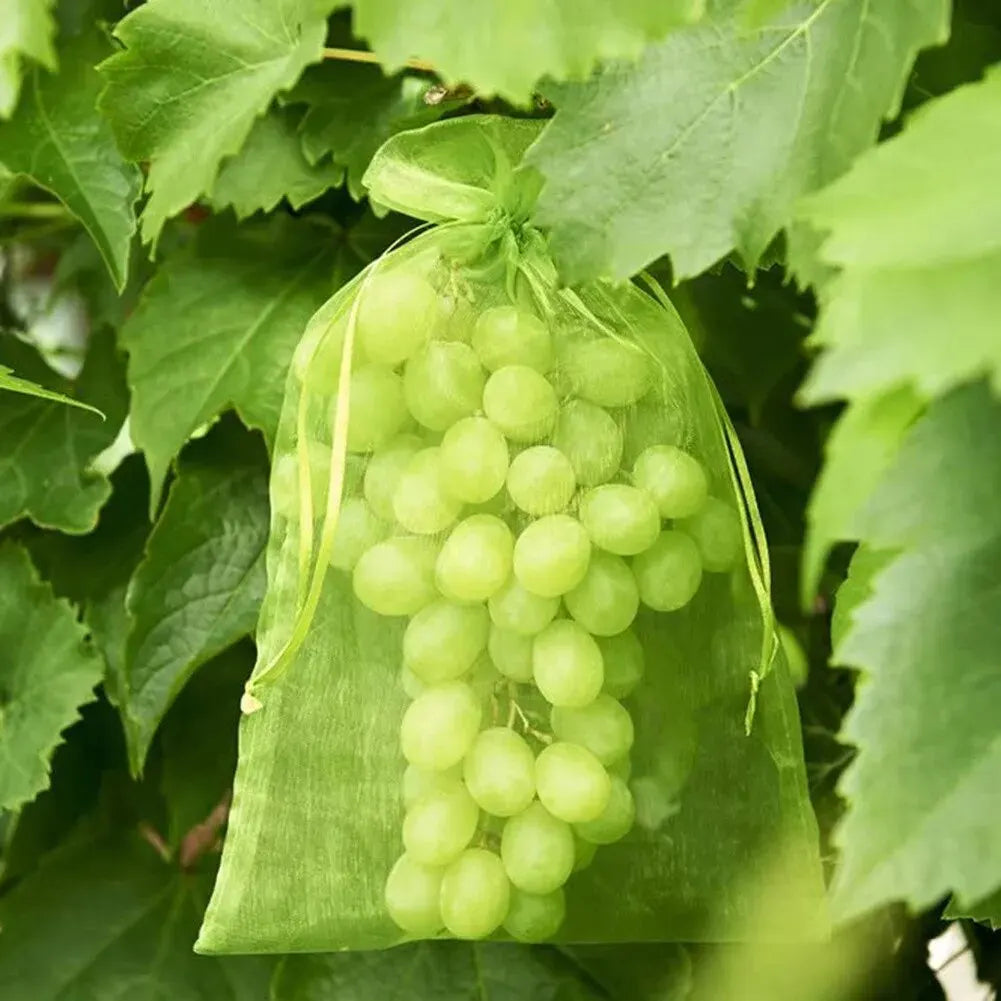 47698360893771