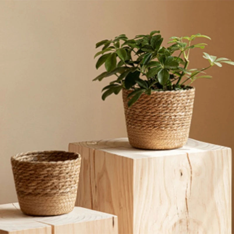 Planteros de canasta Cubierta Cubierta Cesta de almacenamiento Contenedores de plantas de canasta tejida a mano Sembradora de bonsai contenedor